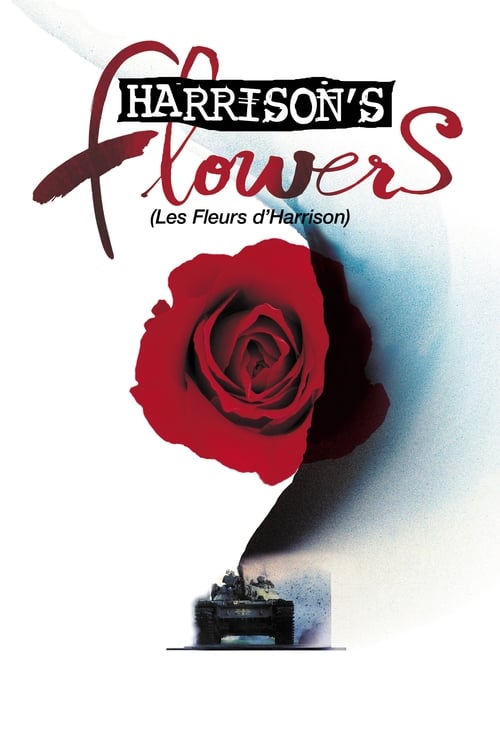 Jaquette Harrison's Flowers