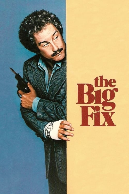 Jaquette The Big Fix