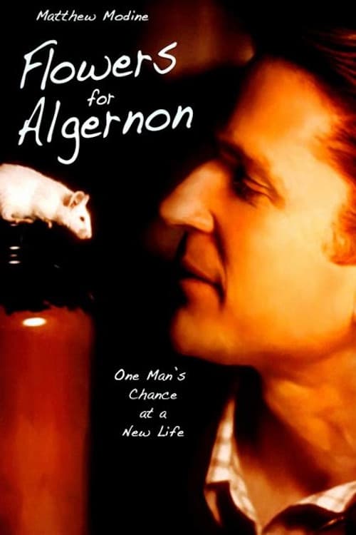 Jaquette Flowers for Algernon