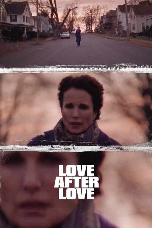 Jaquette Love After Love