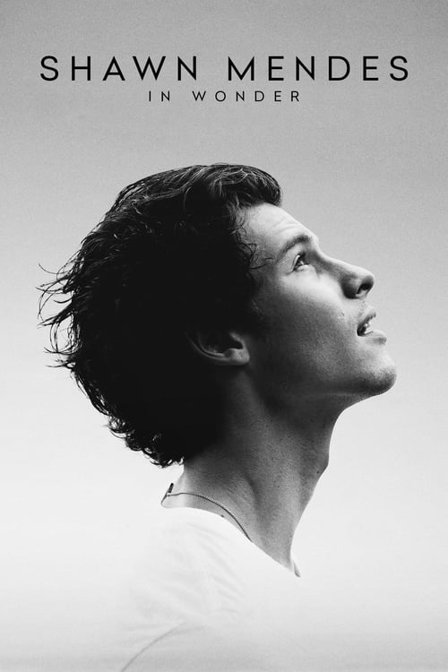 Jaquette Shawn Mendes : In Wonder
