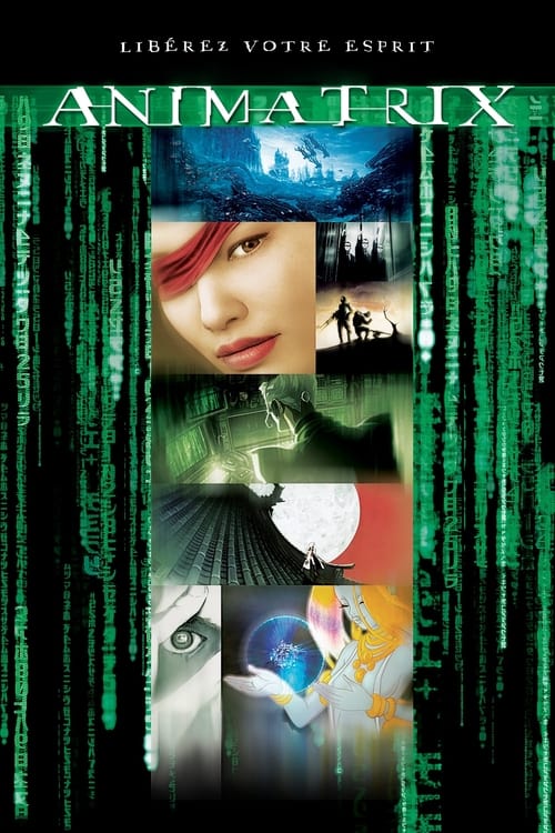 Jaquette Animatrix