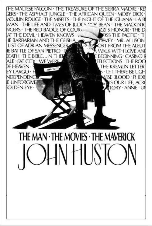 Jaquette John Huston: The Man, the Movies, the Maverick
