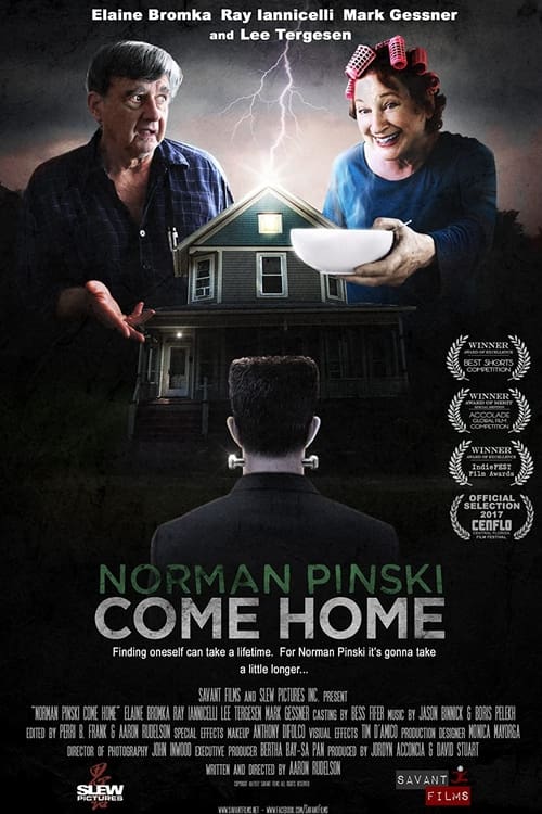 Jaquette Norman Pinski Come Home