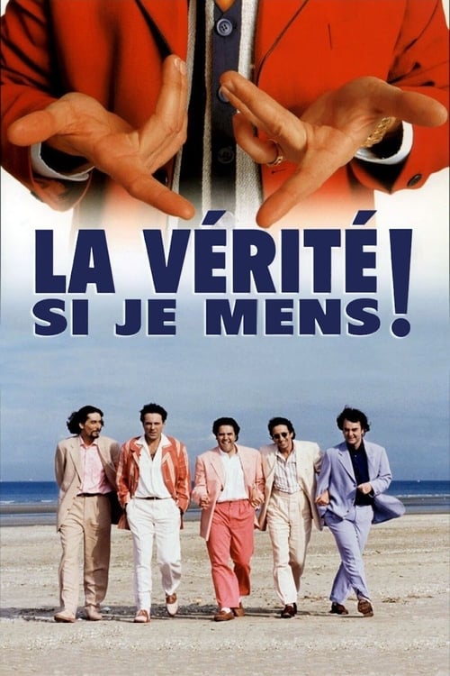 Jaquette La vérité si je mens !