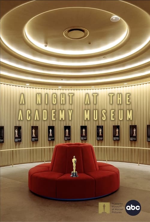 Jaquette A Night at the Academy Museum