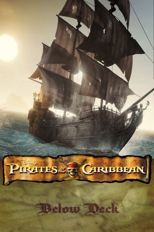 Jaquette  Sous le pont : une histoire interactive de pirates