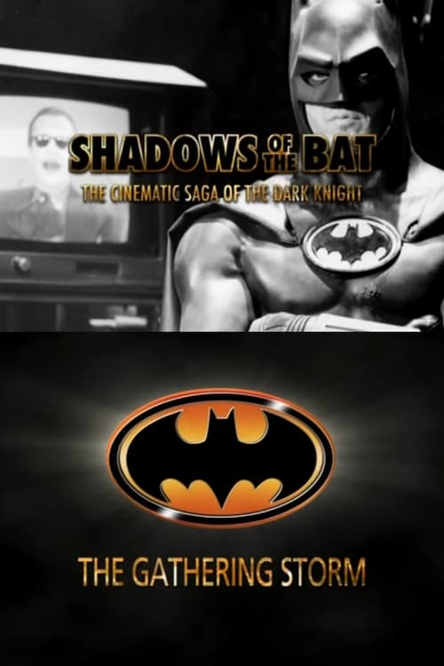 Jaquette Shadows of the Bat: The Cinematic Saga of the Dark Knight - The Gathering Storm