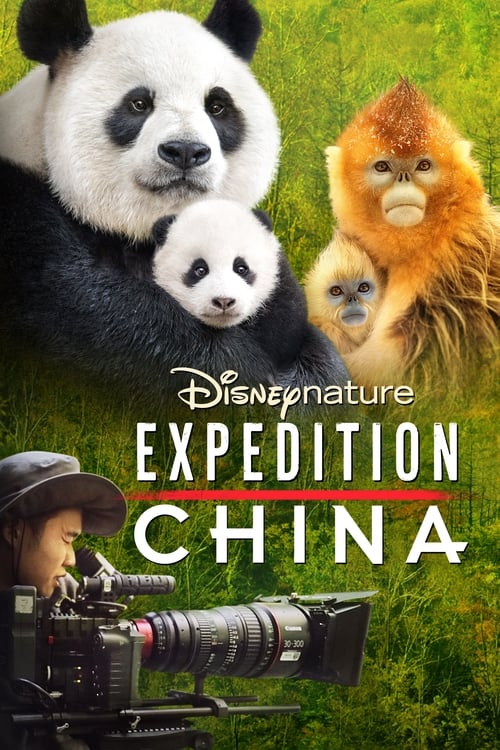 Jaquette Nés en Chine: Histoires d'un tournage