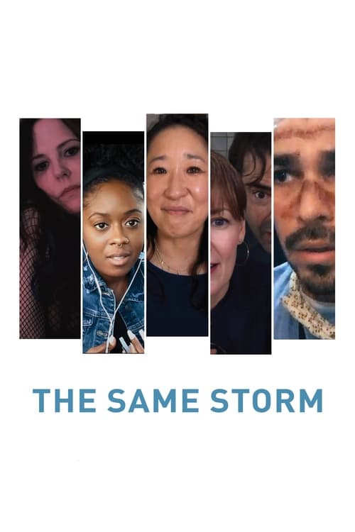 Jaquette The Same Storm