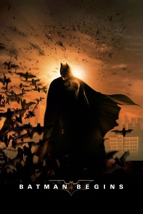 Jaquette Batman Begins