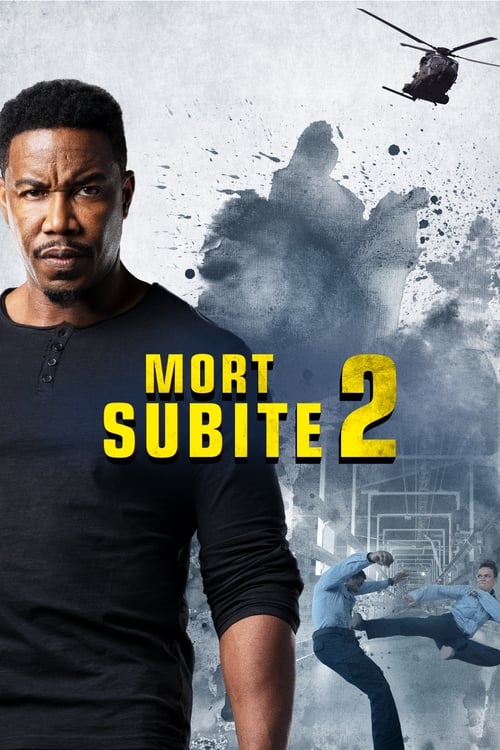 Jaquette Mort subite 2