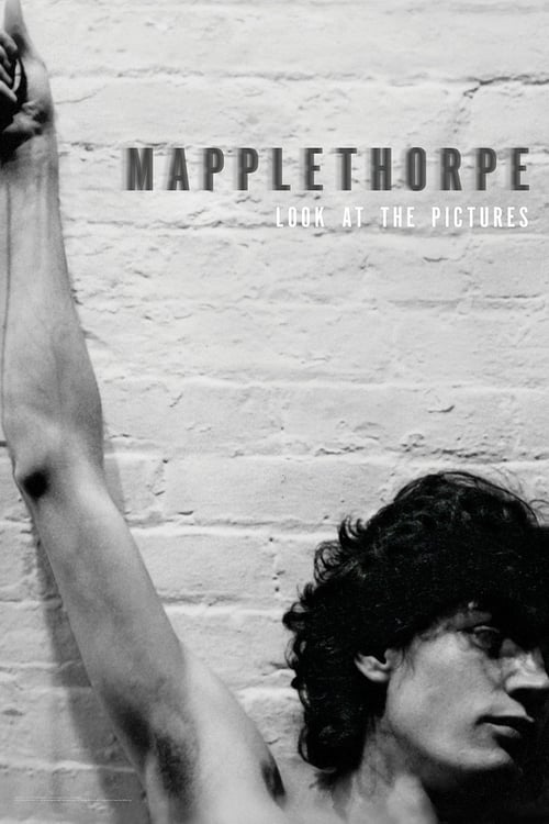 Jaquette Mapplethorpe: Look at the Pictures