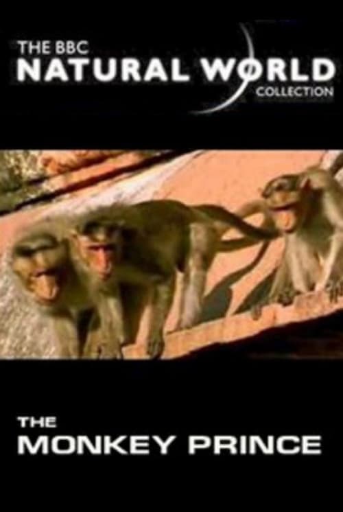 Jaquette The Monkey Prince