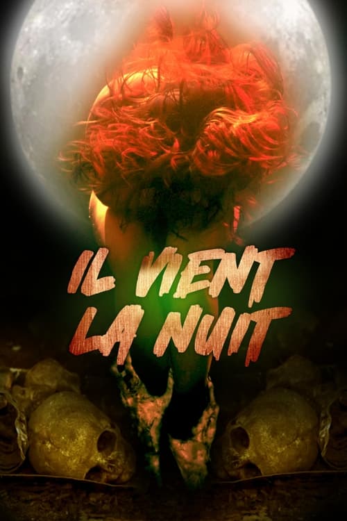 Jaquette Il vient la nuit