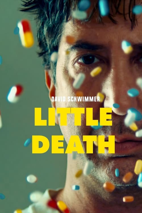 Jaquette Little Death