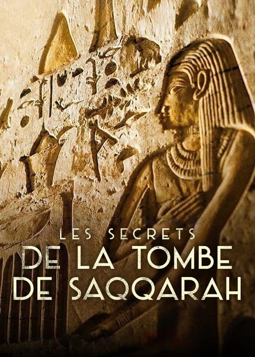 Jaquette Les Secrets de la tombe de Saqqarah