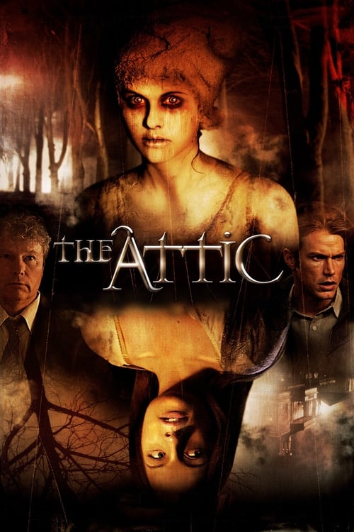 Jaquette The Attic