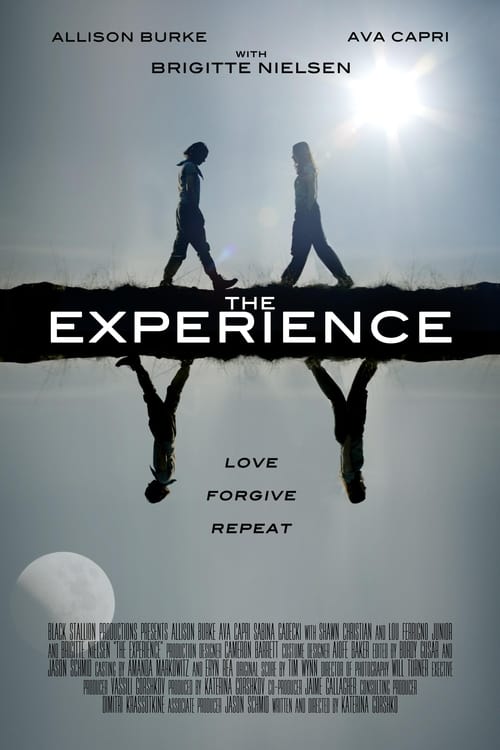 Jaquette The Experience