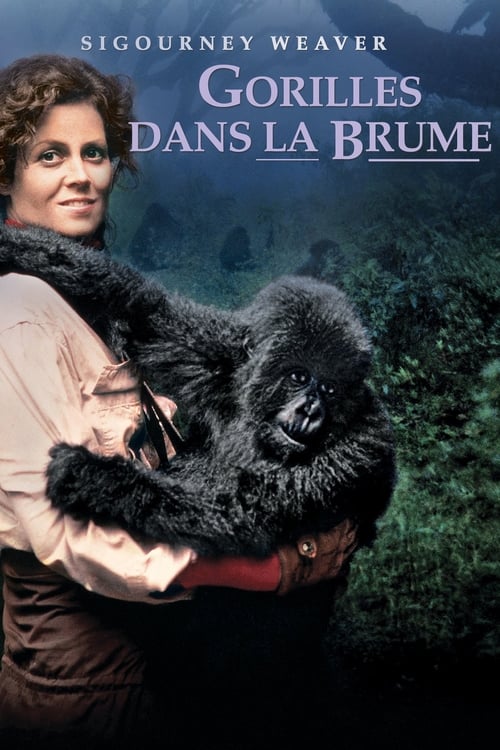 Jaquette Gorilles dans la Brume