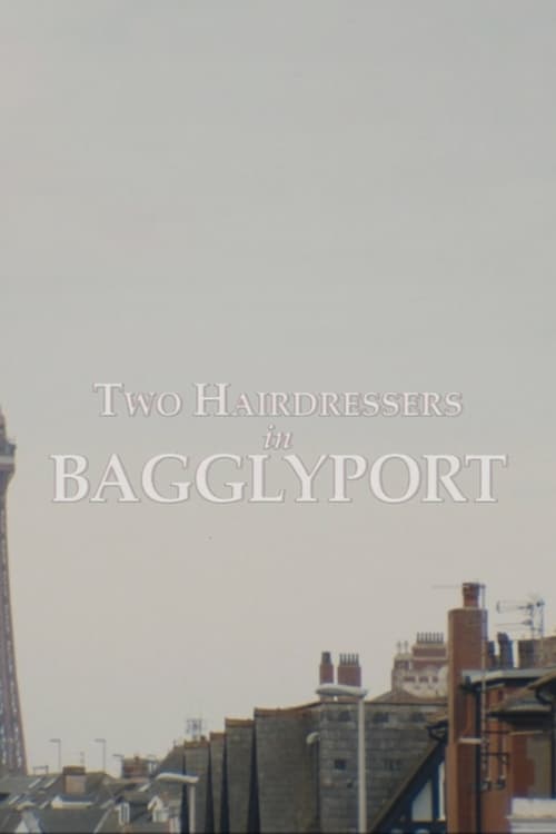 Jaquette Two Hairdressers in Bagglyport