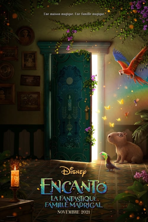 Jaquette Encanto, la fantastique famille Madrigal