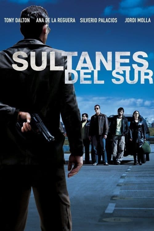 Jaquette Les Seigneurs du sud