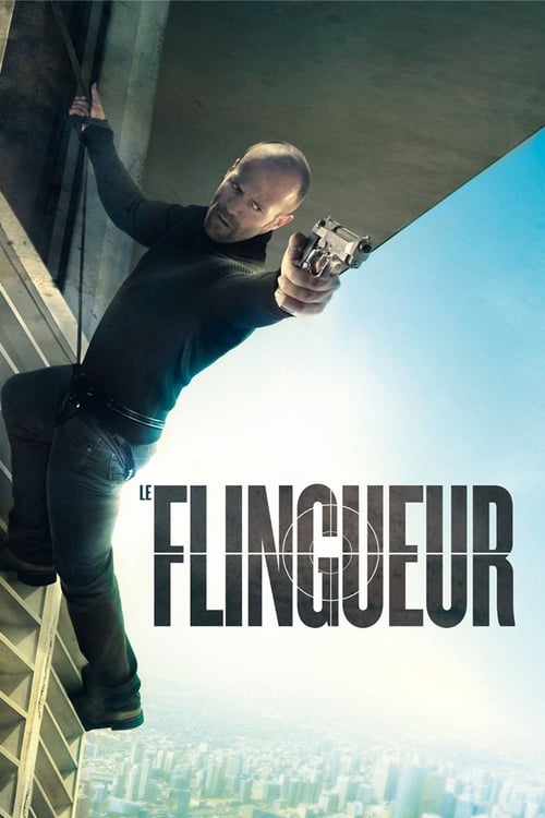 Jaquette Le Flingueur