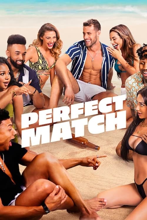 Jaquette Perfect Match