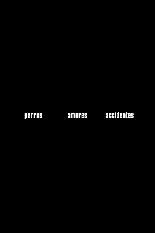 Jaquette Perros, amores, accidentes