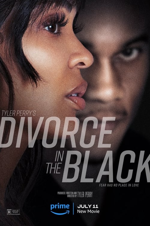 Jaquette Tyler Perry's Divorce in the Black