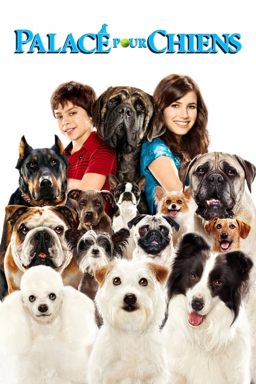 Jaquette Palace pour chiens
