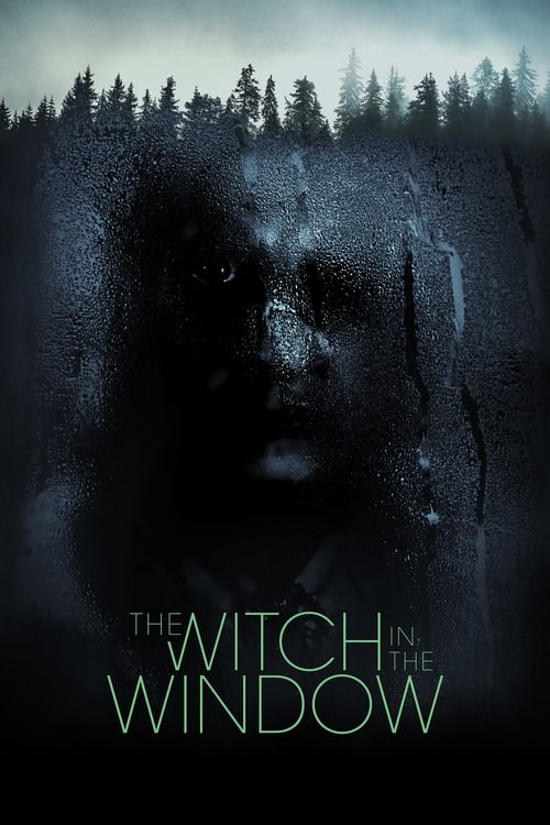 Jaquette The Witch in the Window