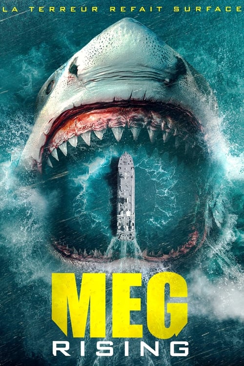 Jaquette Meg Rising