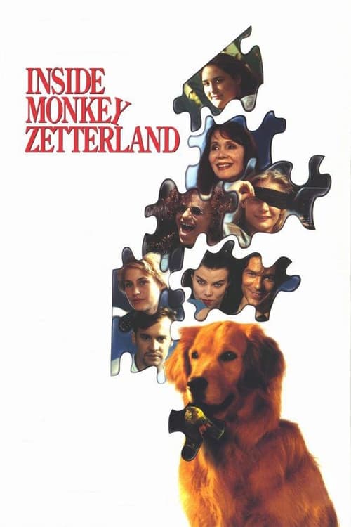 Jaquette Inside Monkey Zetterland