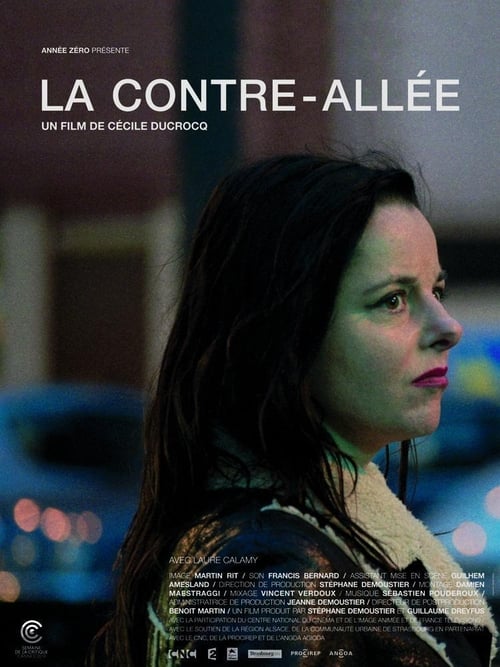 Jaquette La contre-allée