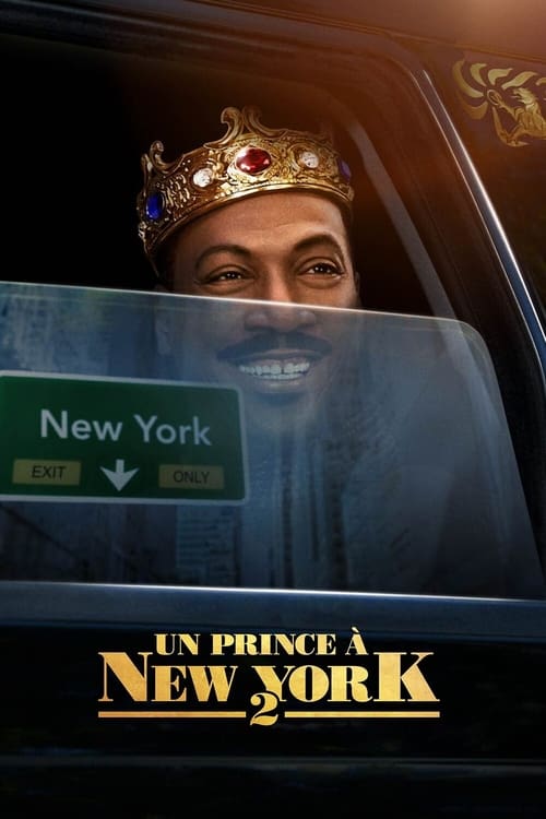 Jaquette Un prince à New York 2