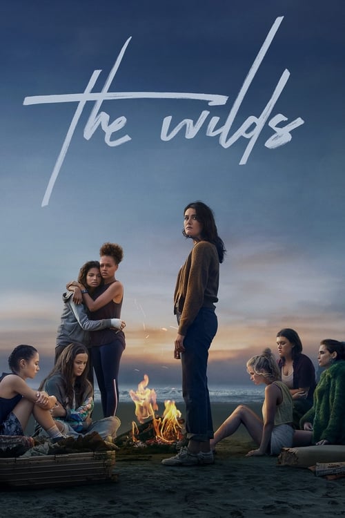 Jaquette The Wilds