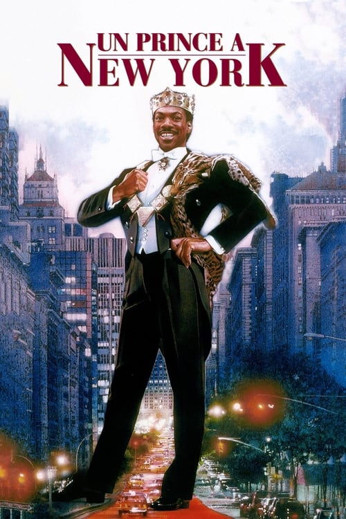 Jaquette Un prince à New York