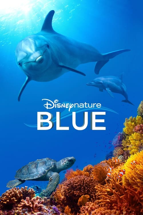 Jaquette Blue