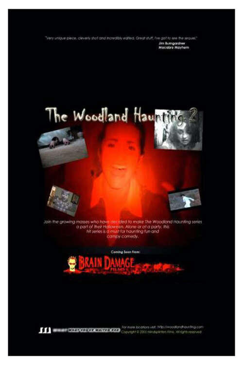 Jaquette The Woodland Haunting 2