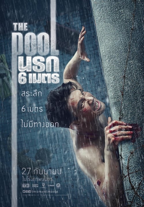 Jaquette The Pool