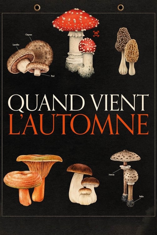 Jaquette Quand vient l'automne