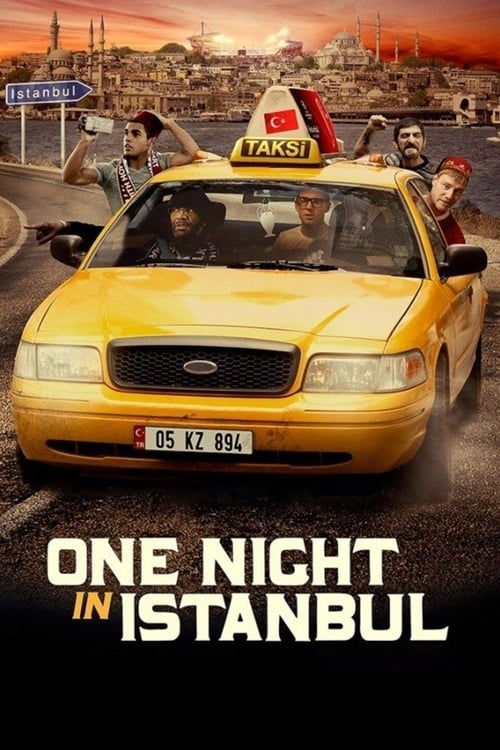 Jaquette One Night in Istanbul
