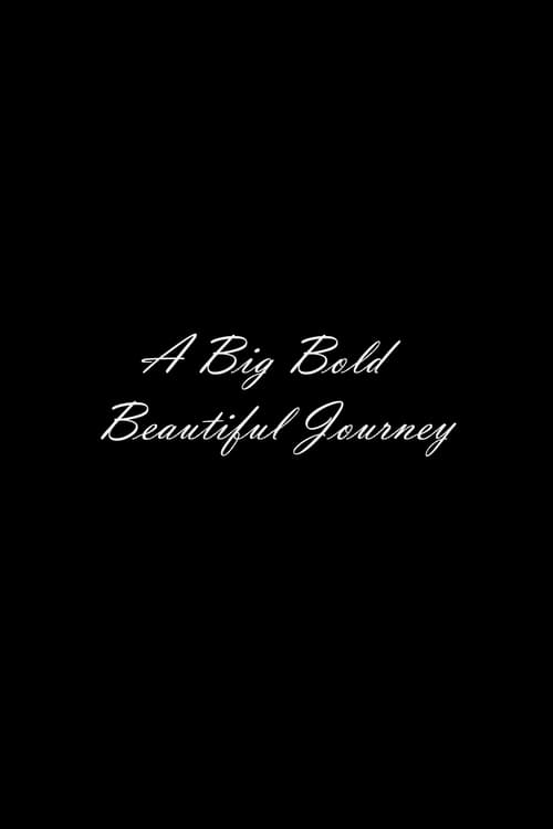 Jaquette A Big Bold Beautiful Journey