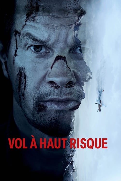 Jaquette Vol à haut risque