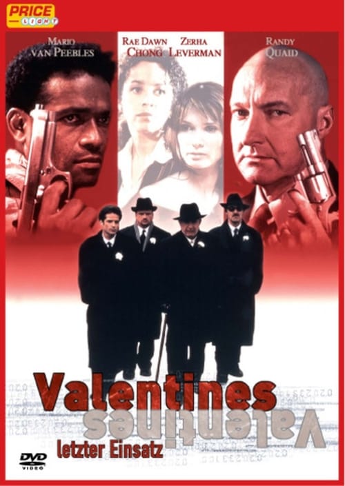 Jaquette Valentine's Day