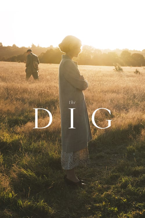 Jaquette The Dig