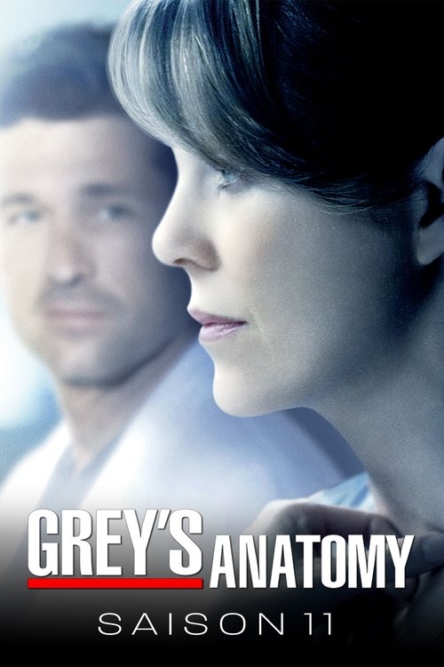 Jaquette Grey's Anatomy