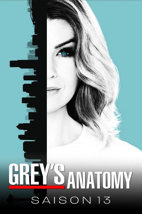 Jaquette Grey's Anatomy